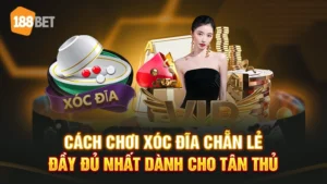 cách chơi xóc đĩa chẵn lẻ