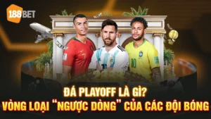 đá playoff là gì